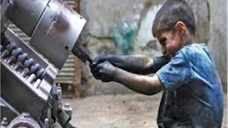 ضوابط عمالة الأطفال وفقا للقانون.. تعرف عليها
