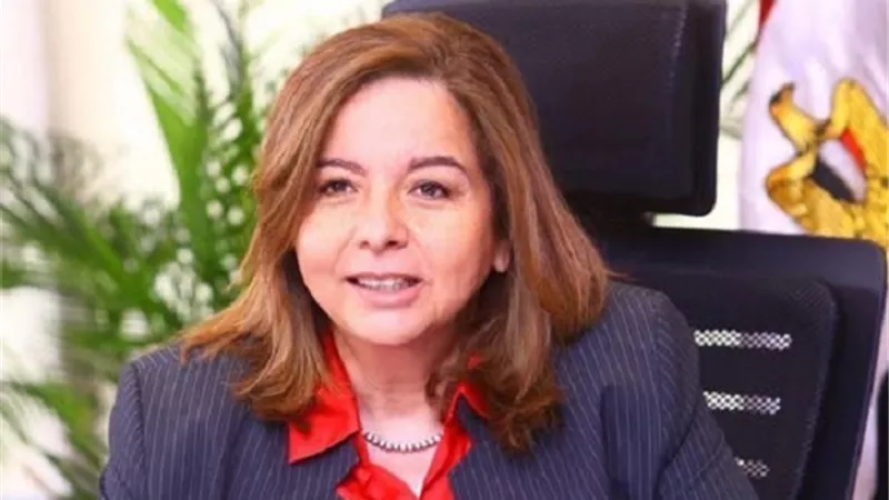 الإسكان الاجتماعي: بدء إصدار إفادات الكهرباء للمستبعدين حتى 18 مايو