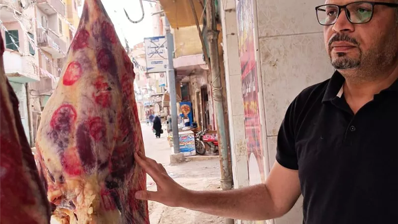ضبط لحوم غير صالحة للاستهلاك الآدمي بكفرالشيخ