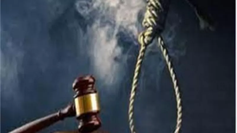 احالة اوراق ربة منزل وكهربائى ونجار لفضيلة المفتى
