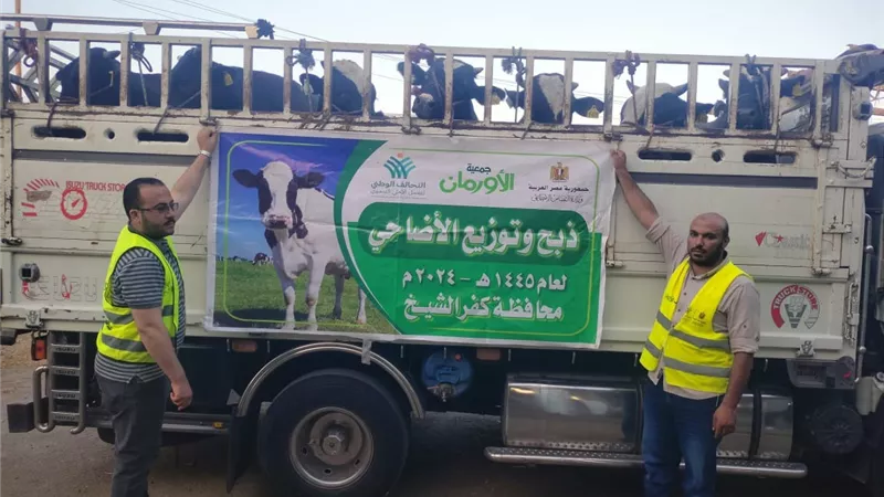 50 ألف كيلو لحوم أضاحى و75 عجلا بلديا للاولى بالرعاية بكفر الشيخ
