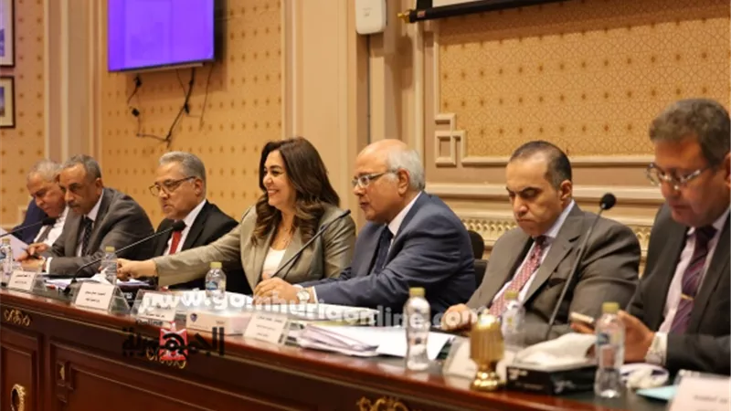 قانون الإيجارات: التنمية المحلية تكشف خطة الحكومة لتوفير سكن بديل