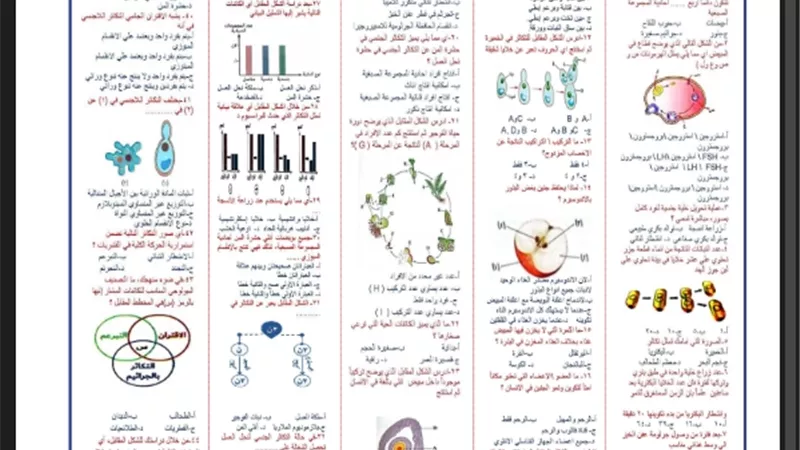 مراجعة أحياء للثانوية العامة