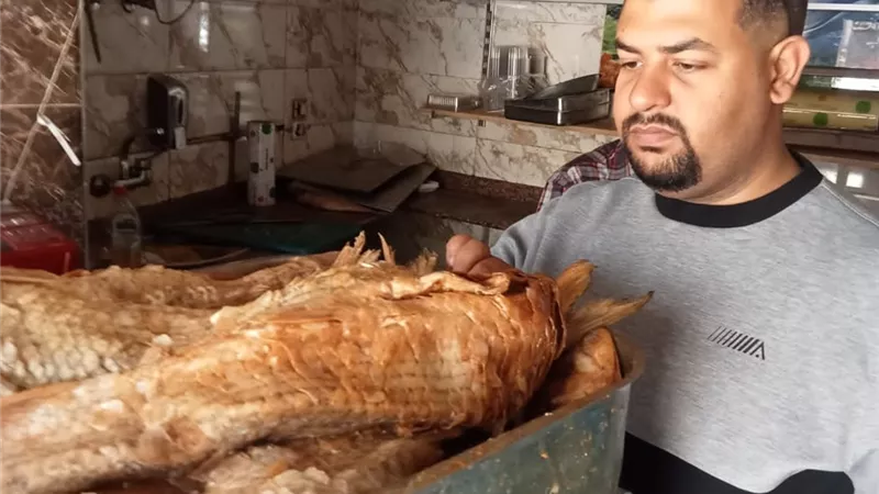 محافظة الجيزة ..ضبط 18.5 طن لحوم مستوردة وأسماك فاسدة وغير صالحة