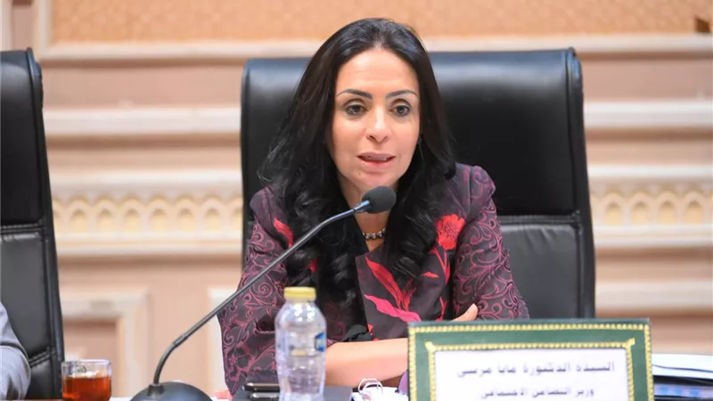وزيرة التضامن: زيادة اعتماد تكافل وكرامة بـ11 مليار جنيه