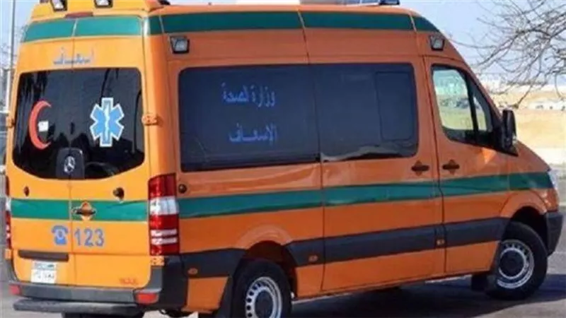 إصابة 6 أشخاص فى انقلاب ميكروباص بالشرقية