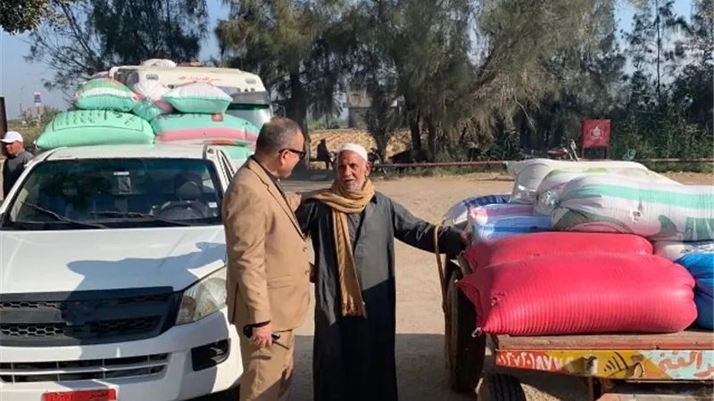توريد 112 ألف طن قمح محلي بمراكز التوريد والتخزين بالدقهلية