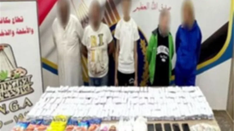 ضبط تشكيلين أجنبيين استخلصا مادة فعالة من عقار طبى تستخدم بتصنيع الآيس