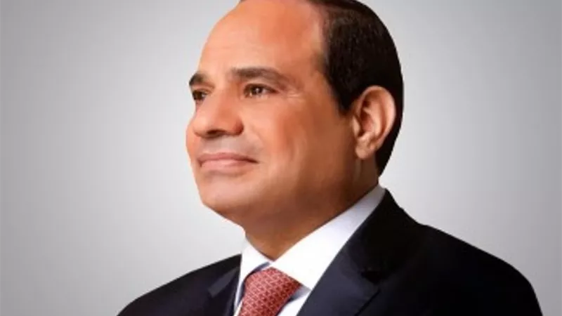 الرئيس السيسي يلتقي غدًا مع الرئيس الروسي فلاديمير بوتين في موسكو