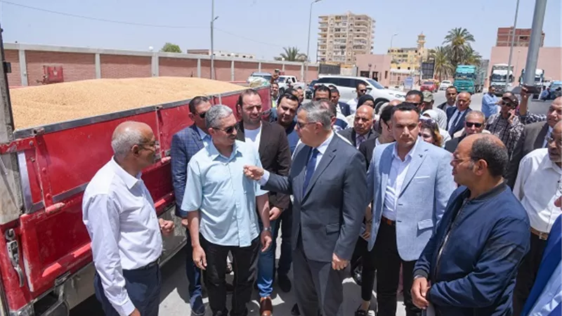 بحضورالمحافظ.. انطلاق موسم توريد القمح بالاسكندرية
