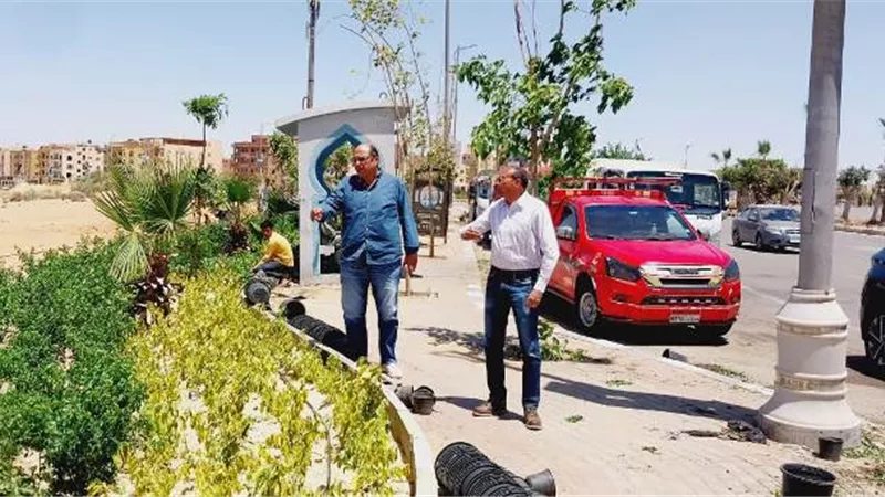 بيان هام من جهاز مدينة بدر بشأن أحدث عمليات الزراعة والتجميل.. بالصور