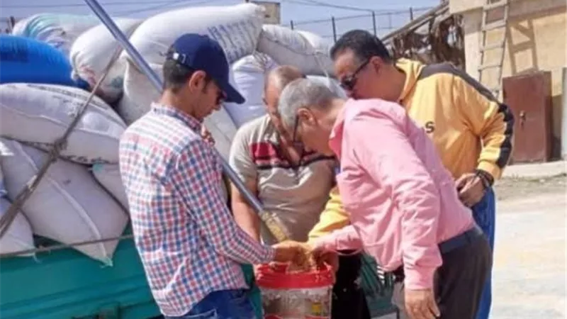 صوامع وشون الشرقية تستقبل 342 ألف طن قمح من المزارعين