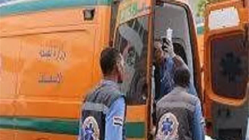 مصرع وإصابة 11 شخصا بانقلاب ميكروباص بالشرقية
