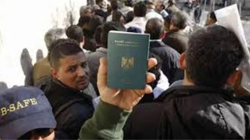 خريطة الطيور المهاجرة في الخارج
