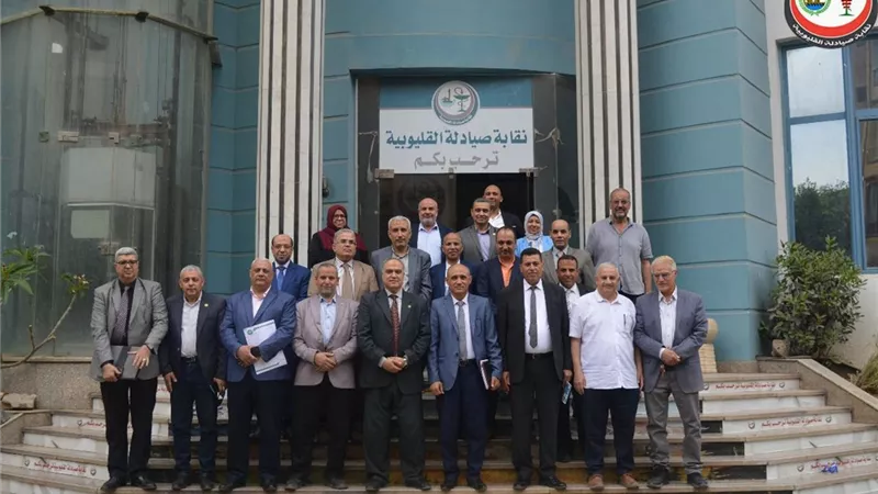 رشا عبد العال : خطة شاملة لوزارة المالية ومصلحة الضرائب المصرية