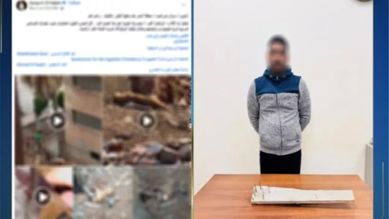 بالفيديو .. تفاصيل تعدى راعى أغنام على الكلاب الضالة بالبحيرة