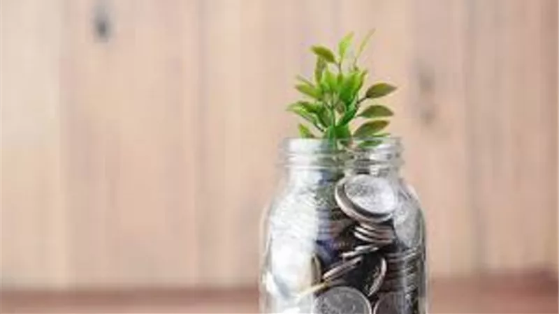 شرط يمنع الوكيل الفقير المحتاج أن يأخذ من مال الزكاة
