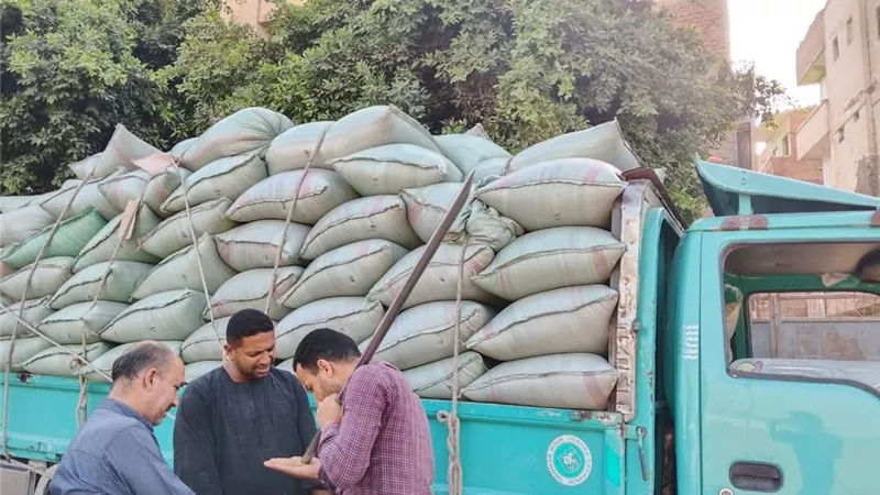 شون وصوامع محافظة المنيا تستقبل 266 ألف طن من القمح