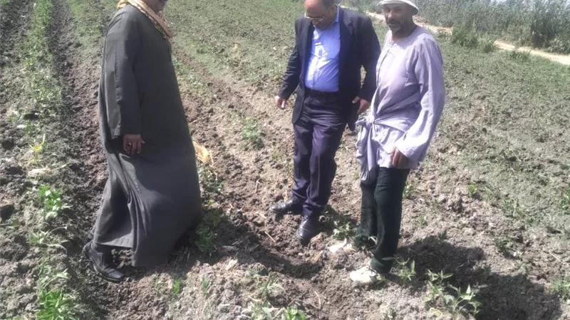 وكيل الزراعة يفقد محاصيل الكراوية والباميا والبطاطا بمركز أبو حمص