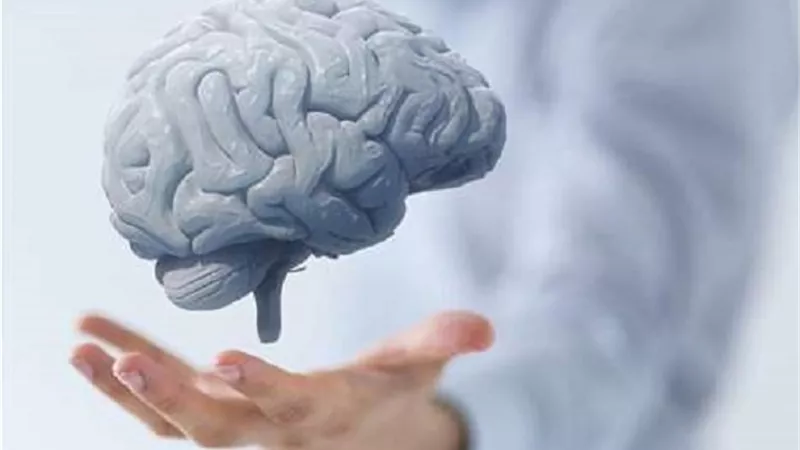 دراسة تكشف أن العادات السيئة وارتفاع ضغط الدم تسرّع شيخوخة الدماغ