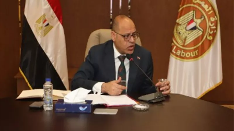 وزير العمل: إنفاق 319 مليوناً و680 ألف جنيه لدعم منظومة التدريب المهني