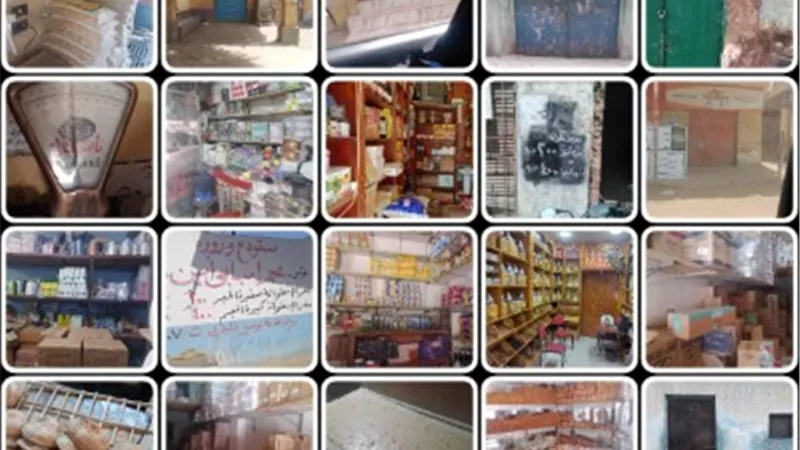 تحرير 314 محضرا ومخالفة تموينية في حملات لضبط الاسواق بالقليوبية