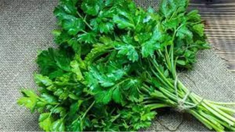 تعرف على فوائد تناول البقدونس لكبار السن