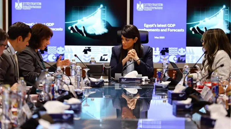 «المشاط»: تنفيذ صارم لحوكمة الاستثمارات العامة