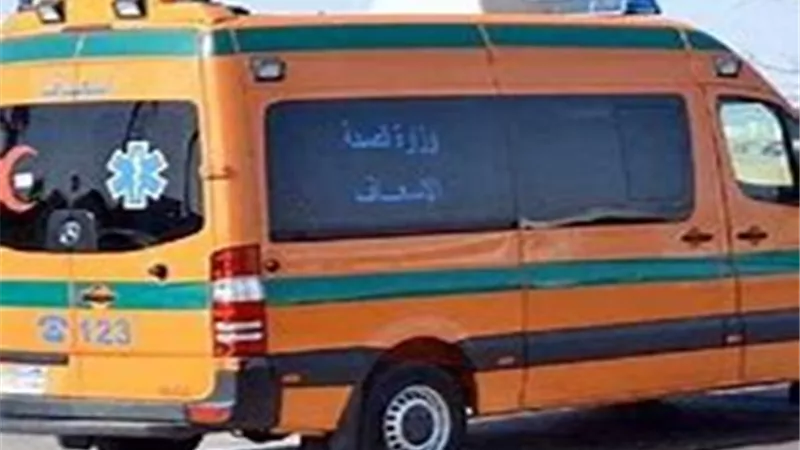 مصرع 3 اشخاص واصابة 3 اخرين في انفجار أسطوانة غاز بورشة بالدقهلية