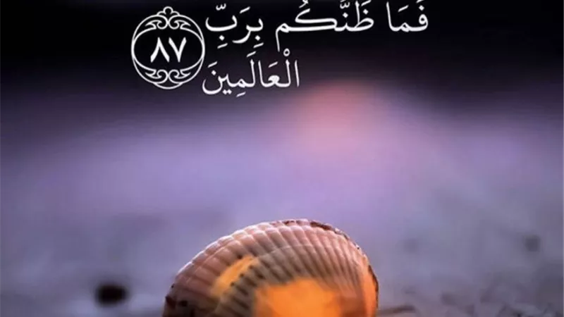 فضل حسن الظن بالله 
