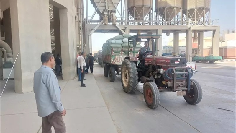محافظ أسيوط: توريد 113 ألف طن قمح حتى الآن مع استمرار الاستلام