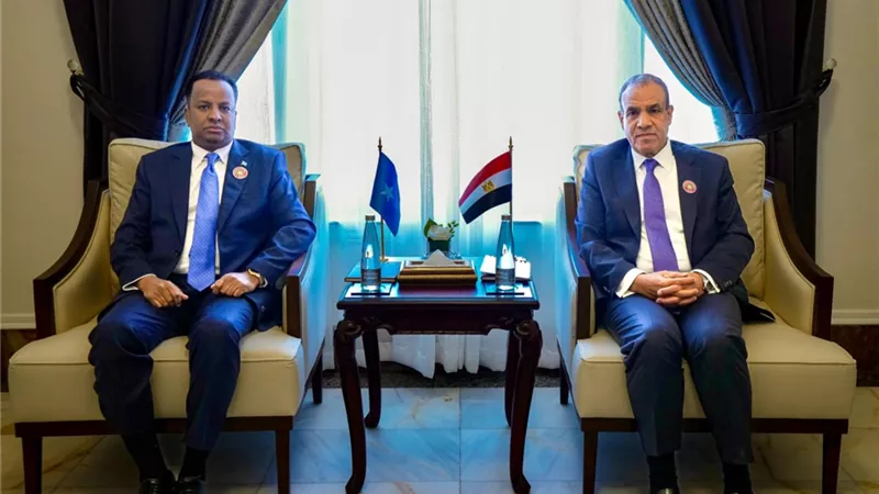 وزير الخارجية يؤكد لنظيره الصومالي دعم مصر الكامل لوحدة وسيادة بلاده
