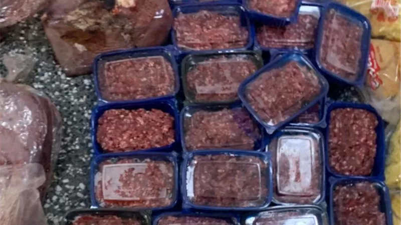 محافظ أسيوط: ضبط 1000 بطاقة تموينية بحوزة تاجر غير مرخص