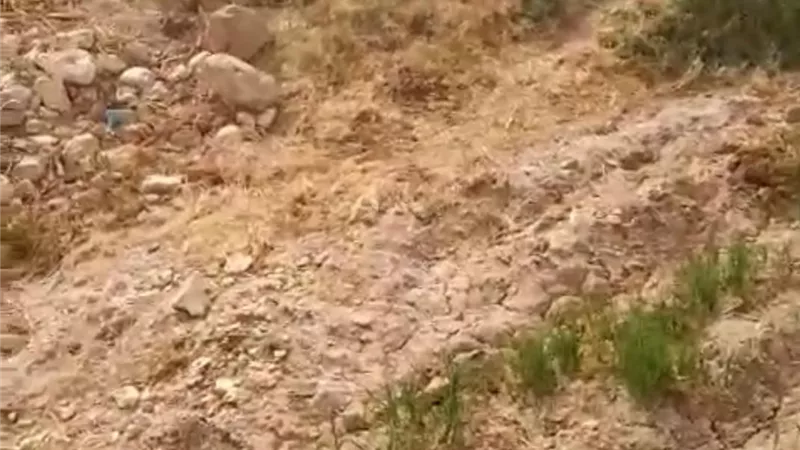 مزارعو الظهير الصحراوي بأبنوب يستغيثون بفخامة الرئيس
