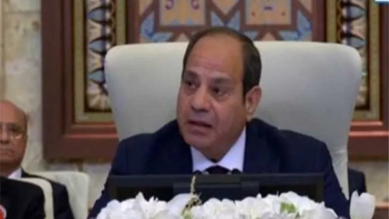 الرئيس السيسي يطالب ترامب ببذل كل الجهود لوقف إطلاق النار فى غزة