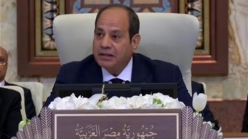 مستشار رئيس وزراء العراق: خطاب الرئيس السيسي كان بالغ الأهمية