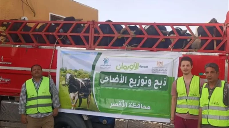 50 طن لحوم أضاحى و75 عجل بلدى للأسر الاولى بالرعاية