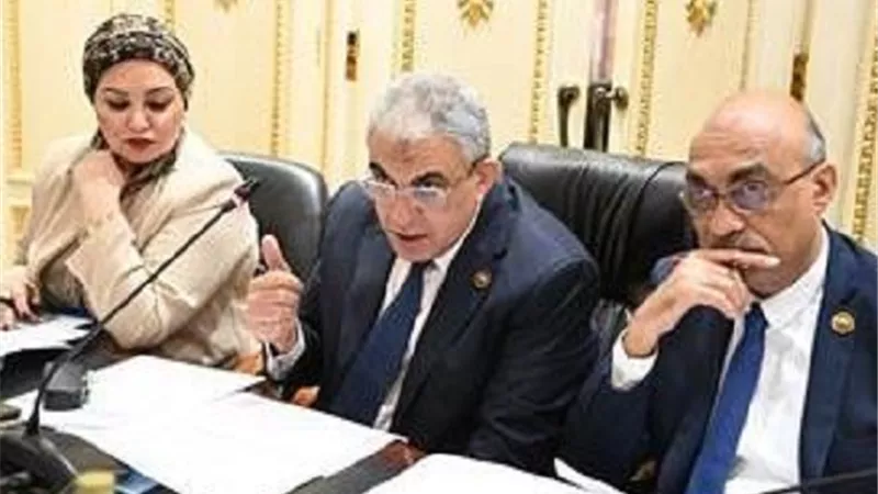 القوى العاملة بالنواب توافق على مشروع قانون العلاوة الدورية
