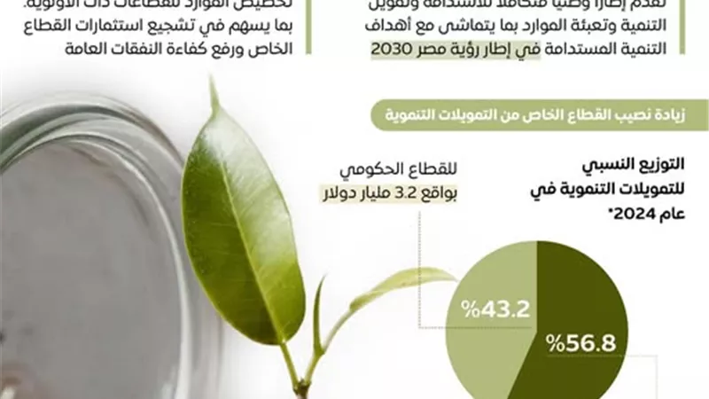 القطاع الخاص يقود التمويل التنموي في مصر باستراتيجية وطنية متكاملة