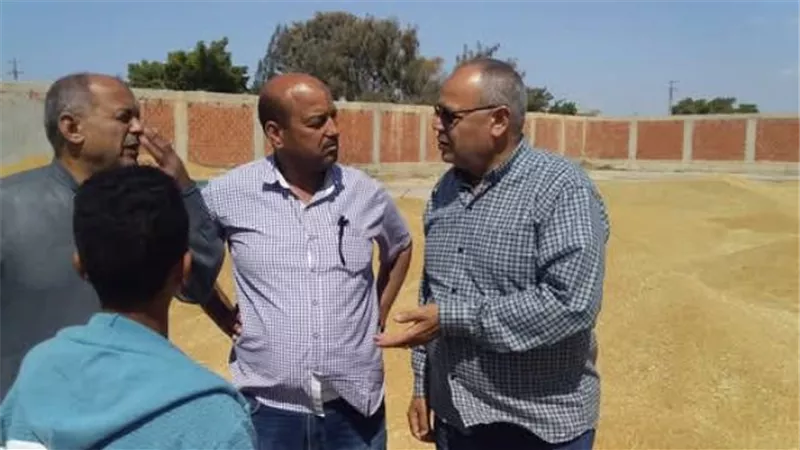 مراقبة بنجر السكر للتنمية تورد ٣٠١٣٢ طن قمح للصوامع والمطاحن