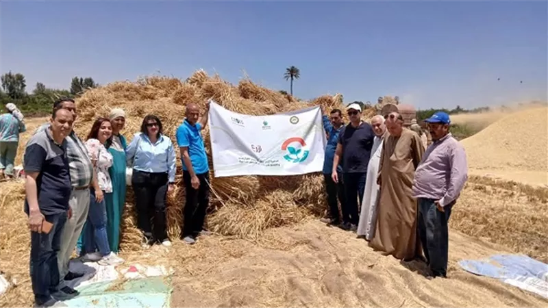 حصاد القمح بالمحافظات ضمن فعاليات مبادرة 