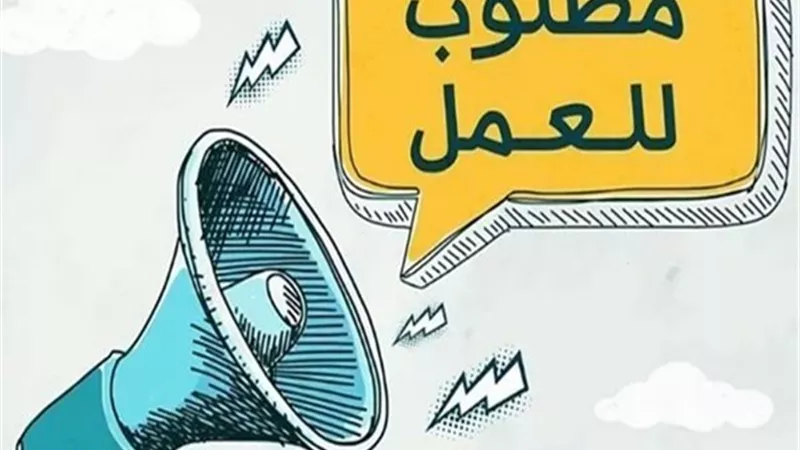 فرص برواتب مجزية لخريجي التعليم الفني بالإسكندرية