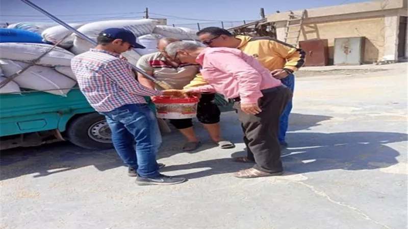 صوامع وشون الشرقية تستقبل 556 ألف طن قمح من المزارعين