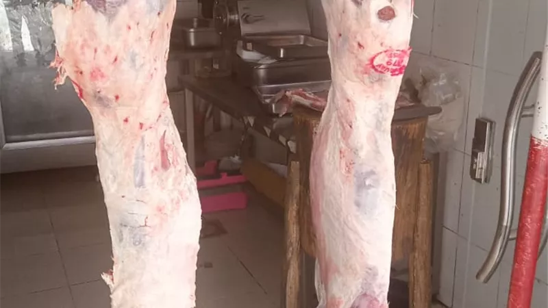 ضخ كميات كبيرة من اللحوم والدواجن بقنا استعدادًا لعيد الأضحى