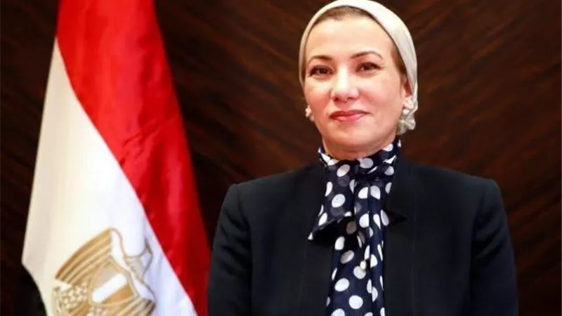 تعيين د. ياسمين فؤاد الأمينة التنفيذىة الجديدة لـ