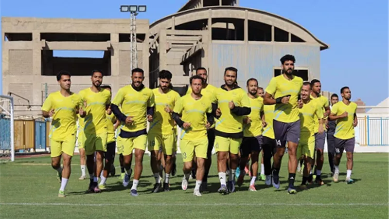 بطاقة التاهل لدورى المحترفين حايرة بين مالية كفرالزيات ودلفى.