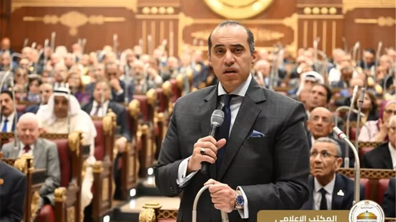 وزير الشئون النيابية: القانون يدعم مبدأ الحرية الشخصية للمرشحين في اختيار الدائرة