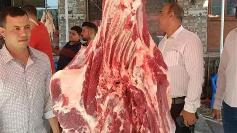 ضبط مخالفات في حملات للرقابة التموينية على محال الجزارة