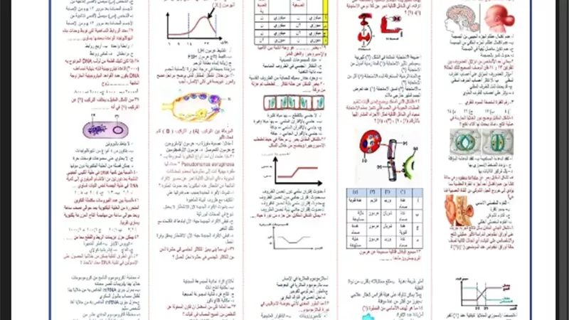 مراجعة مهمة في الأحياء لطلاب الثانوية العامة