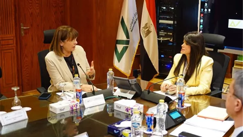 المشاط تبحث مع شركاء التنمية مواجهة تراجع التمويلات العالمية